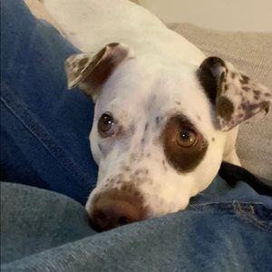 Meet your Posher, Jen